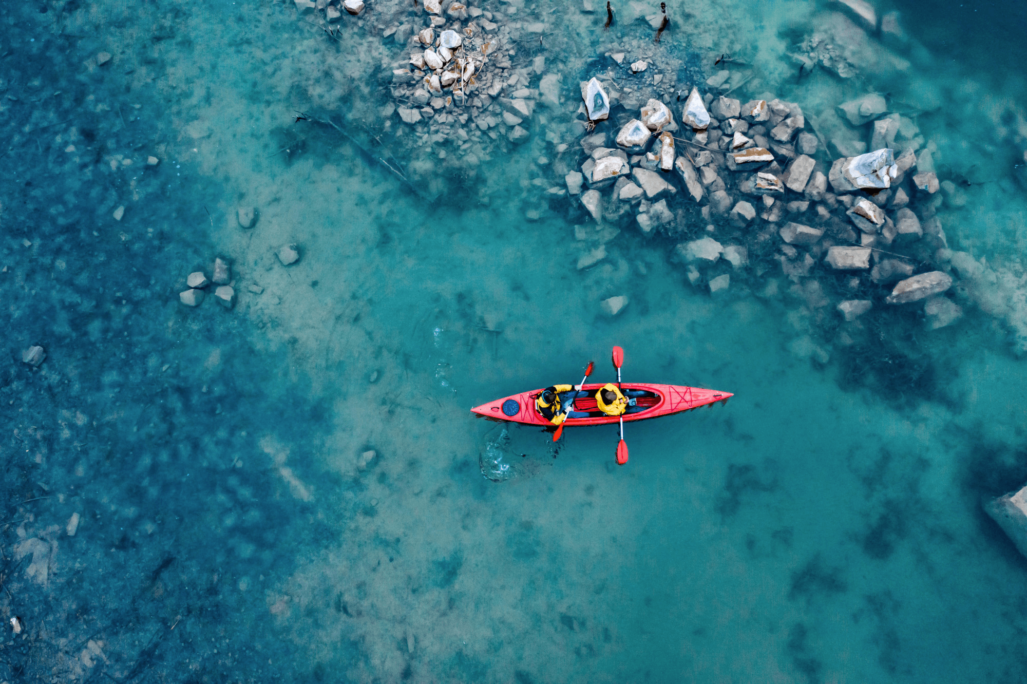 The mission of art is to represent nature not to imitate her.